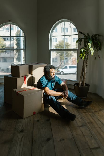 A man with curly dark hair and wearing a blue t-shirt and dark jeans is sitting on a wooden floor inside a room, surrounded by several cardboard moving boxes, some sealed with red tape. The room has two large arched windows allowing natural daylight to brighten the space, showing a street view with parked cars and buildings outside. There is a tall potted plant with long, broad leaves positioned next to the man, and the room appears to be in the process of a household move, possibly part of a home relocation or furniture transport operation. The scene reflects the packing and moving process, with the man taking a moment amidst unpacked items and boxed belongings, consistent with professional removals services such as those offered by Bow Removals.